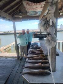 Texas City Report Photo 1
