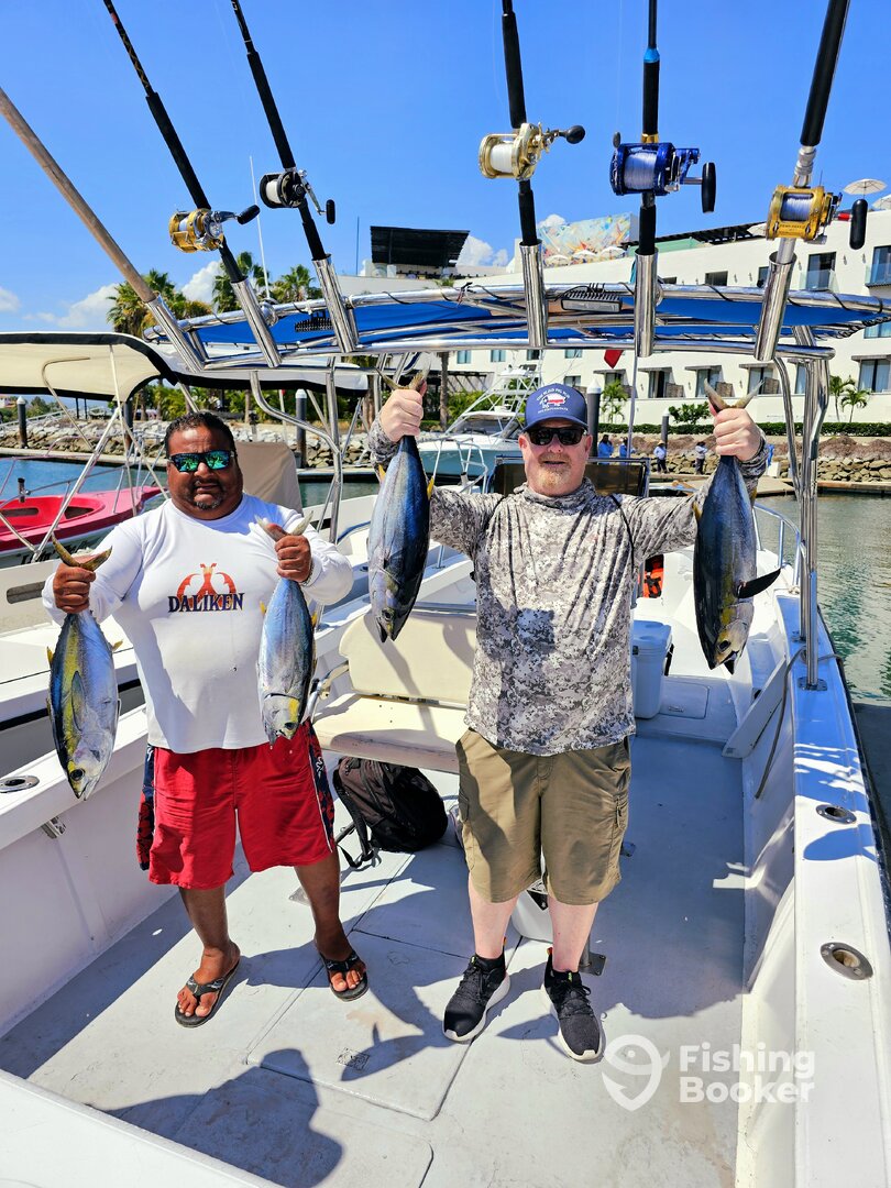 San Jose del Cabo Report Photo 0