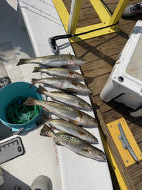 Greenville Report Photo 1