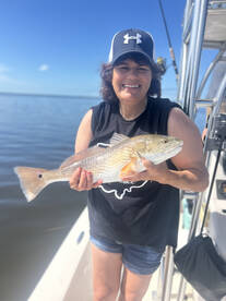 Captiva Report Photo 2