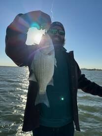 UNBELIEVABLE CATCHING!