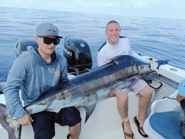 Puerto Vallarta Report Photo 2