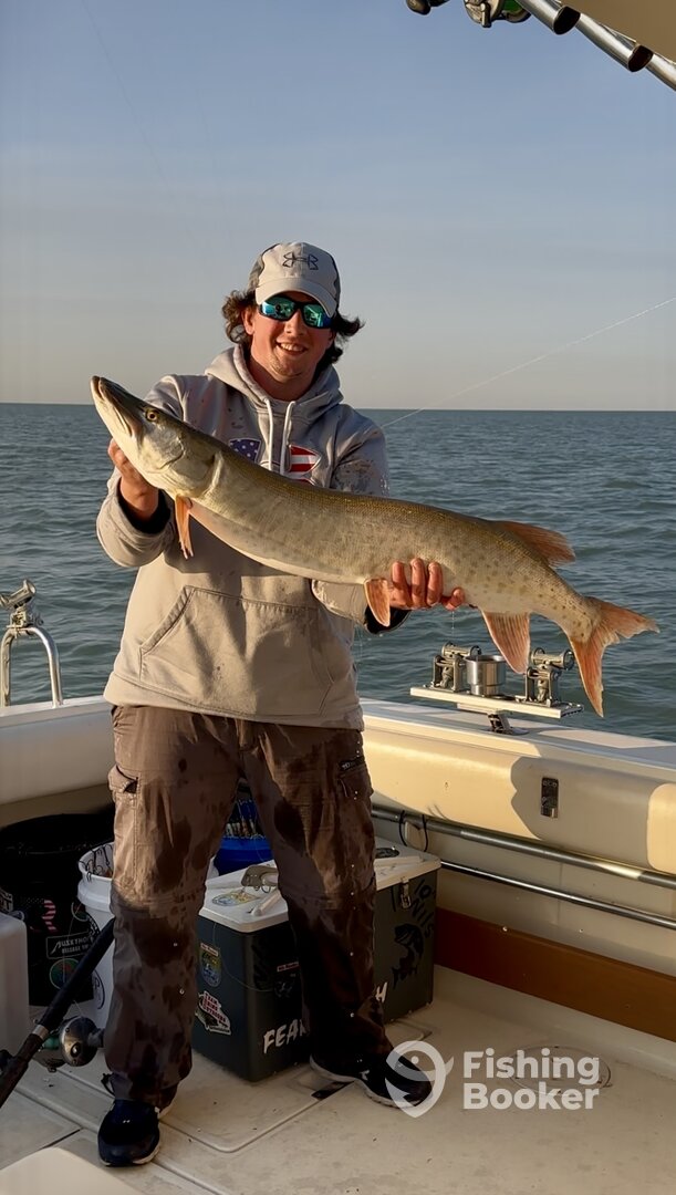 St. Clair Shores Report Photo 0