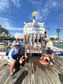 Amberjack fishing