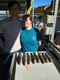 Branson Report Photo 1