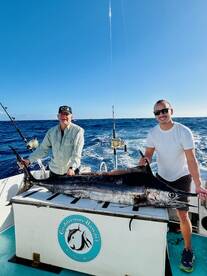 Haleiwa Report Photo 1