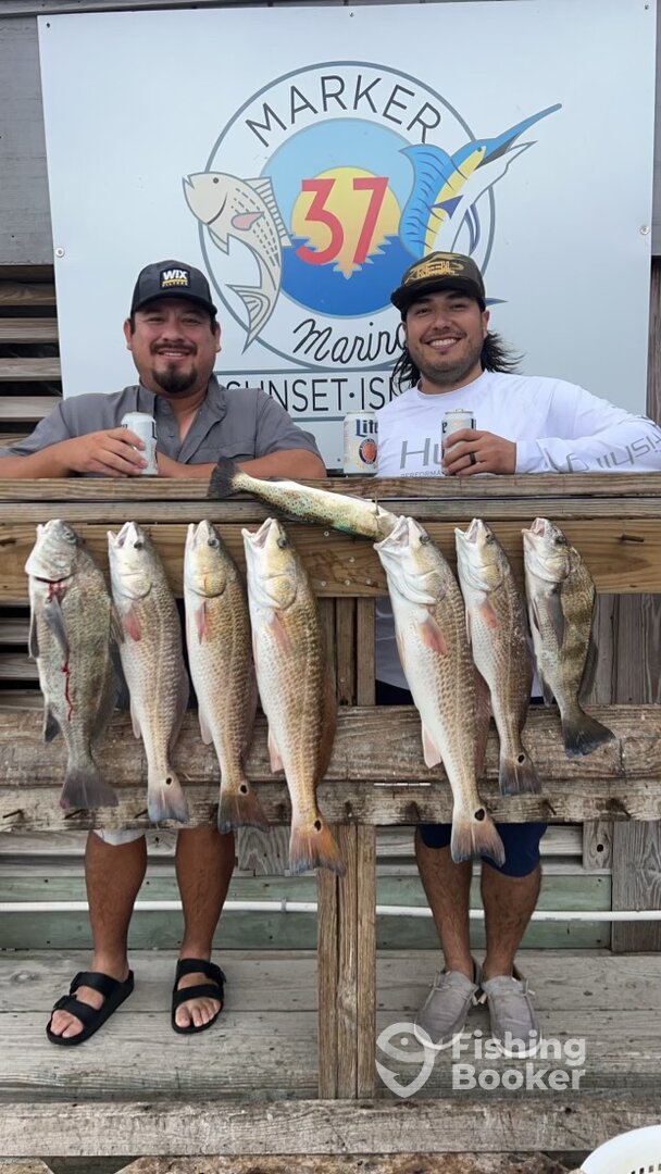 Corpus Christi Report Photo 0
