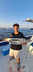 Fujairah Report Photo 2
