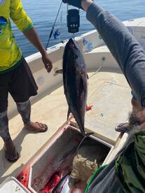 Fujairah Report Photo 2