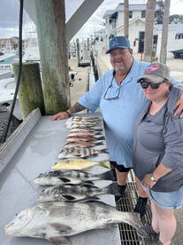 Inshore bite is on fire achion packed da