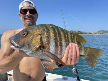 Punta Mita Report Photo 2