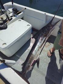 San Jose del Cabo Report Photo 2