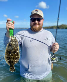 Palmetto Report Photo 2