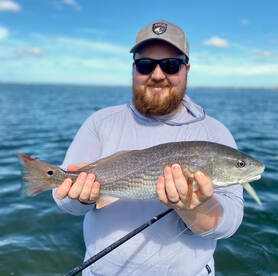 Palmetto Report Photo 1