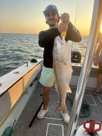 Bull reds are bitimg    