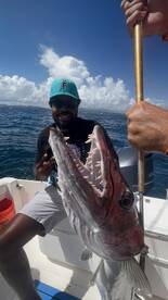 Fajardo Report Photo 1