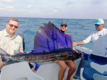 double sailfish trophy