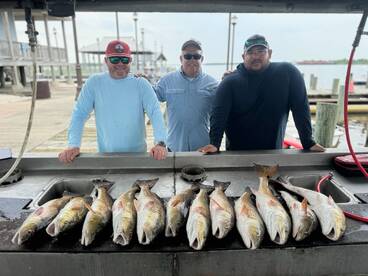 Reefs from a few weeks ago!