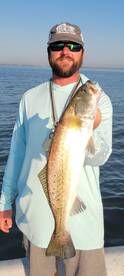 Tons of trout last weekend