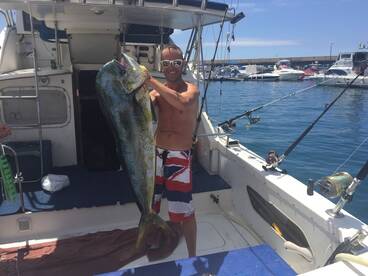 Large mahi mahi