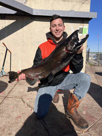 Its been on fire!!!!!