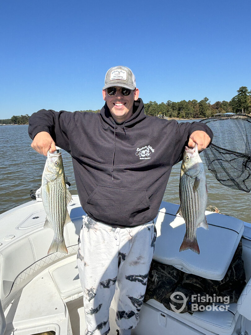 Tega Cay Report Photo 0