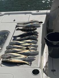 October fishing is in full swing!!