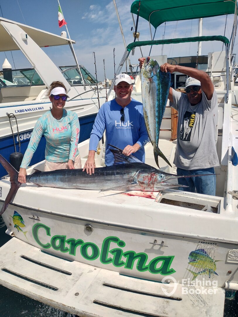 Cabo San Lucas Report Photo 0