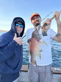 Great sculpin wction and sheephead ! 