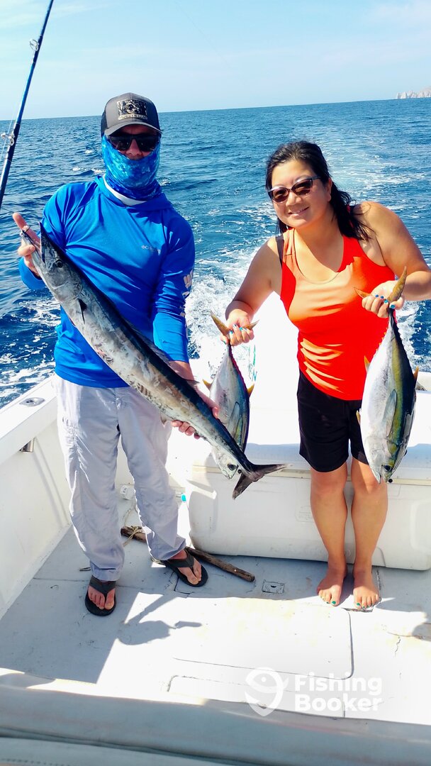 San Jose del Cabo Report Photo 0