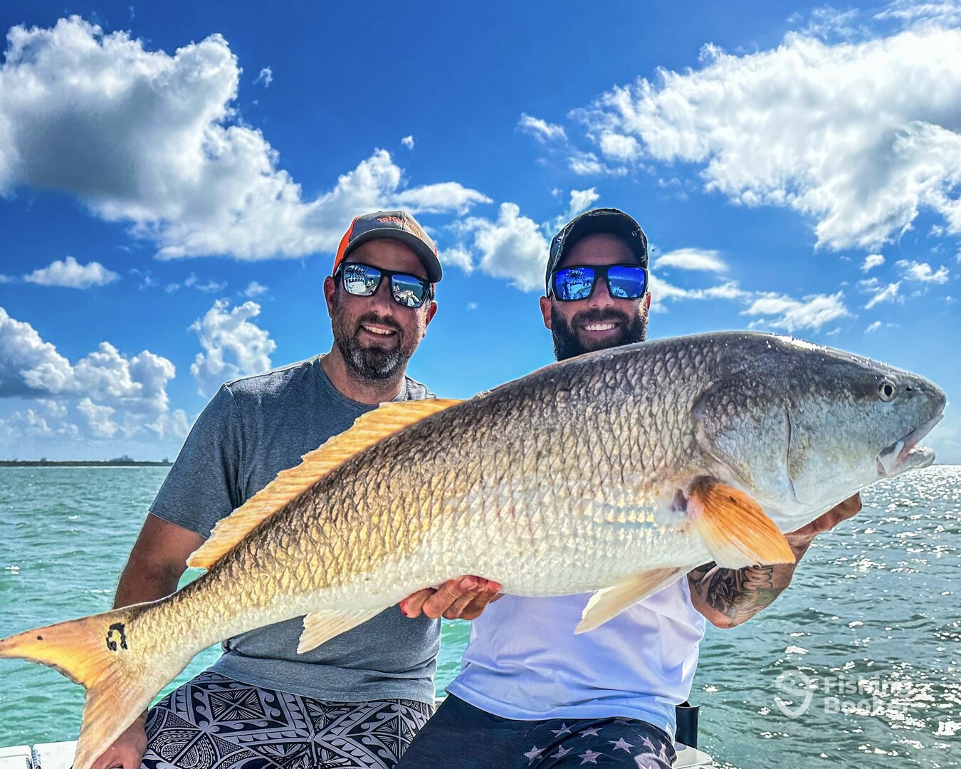 Port Canaveral Report Photo 0