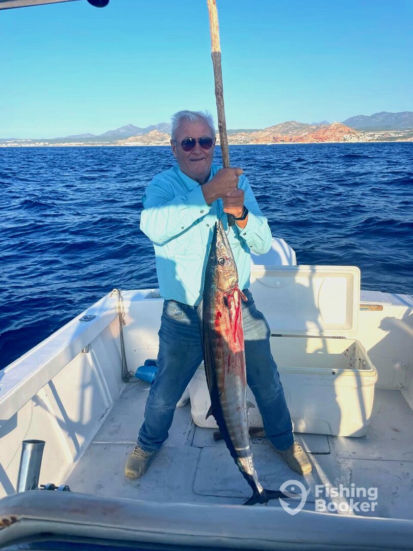 San Jose del Cabo Report Photo 0