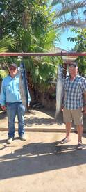 San Jose del Cabo Report Photo 2