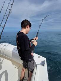 Playa Flamingo Report Photo 2