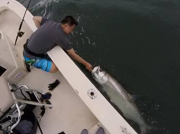 Great way to revive this Miami Tarpon boat side respecting the fish that gave you a great show and fight