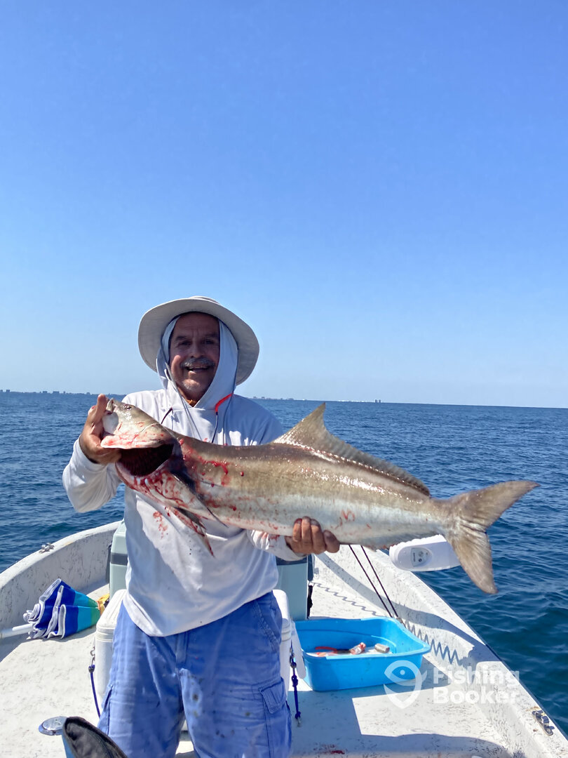 Port Isabel Report Photo 0