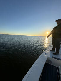 Edisto Beach Report Photo 2