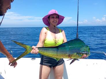 Dorado always