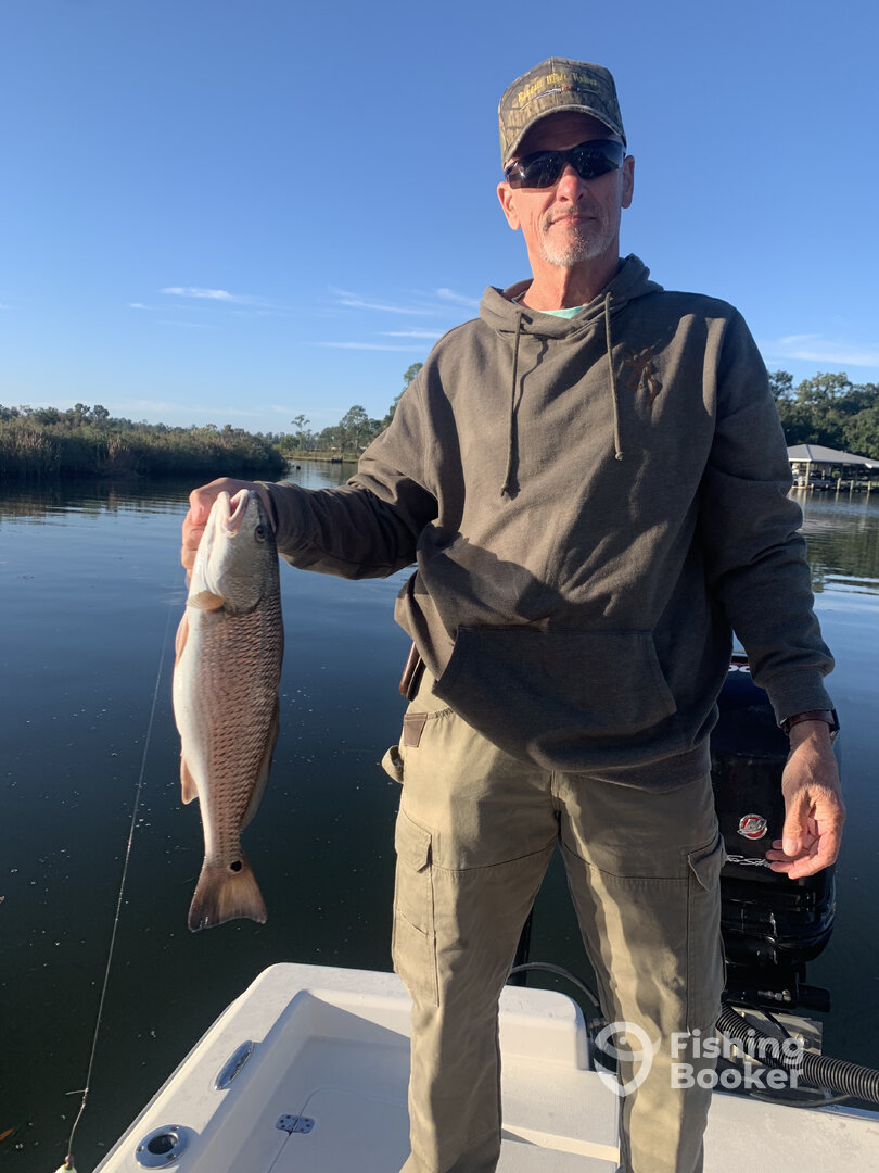 Gulf Shores Report Photo 0
