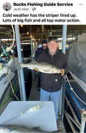 Big fish and lots of birds