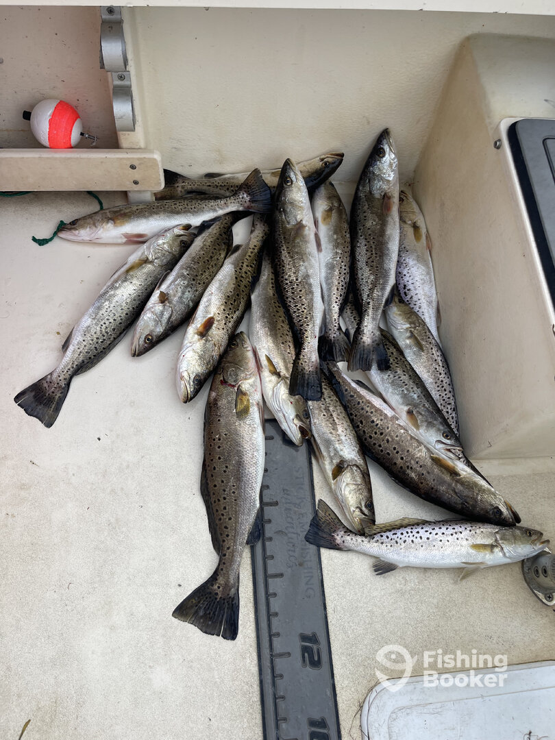 Wanchese Report Photo 0