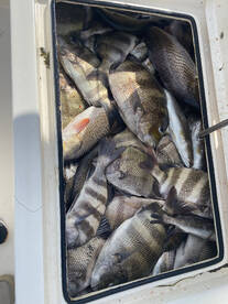 Chaw!!! Look at dat!