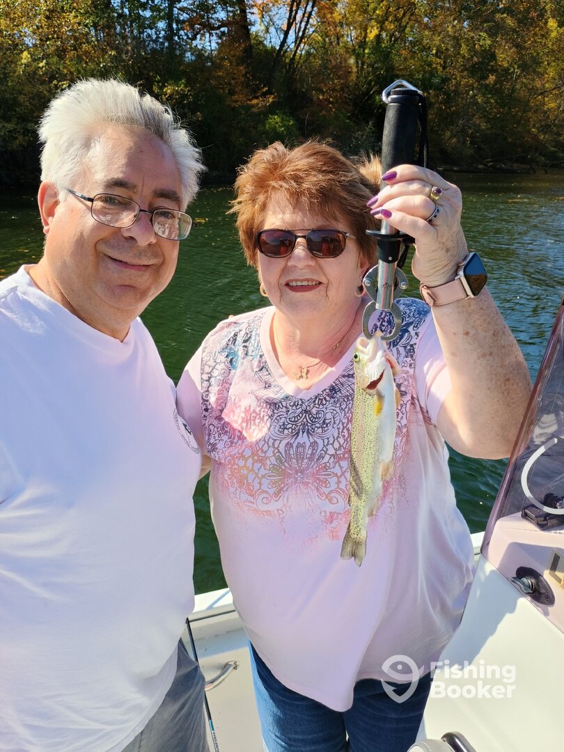 Branson Report Photo 0