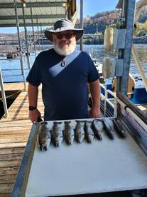 Branson Report Photo 1