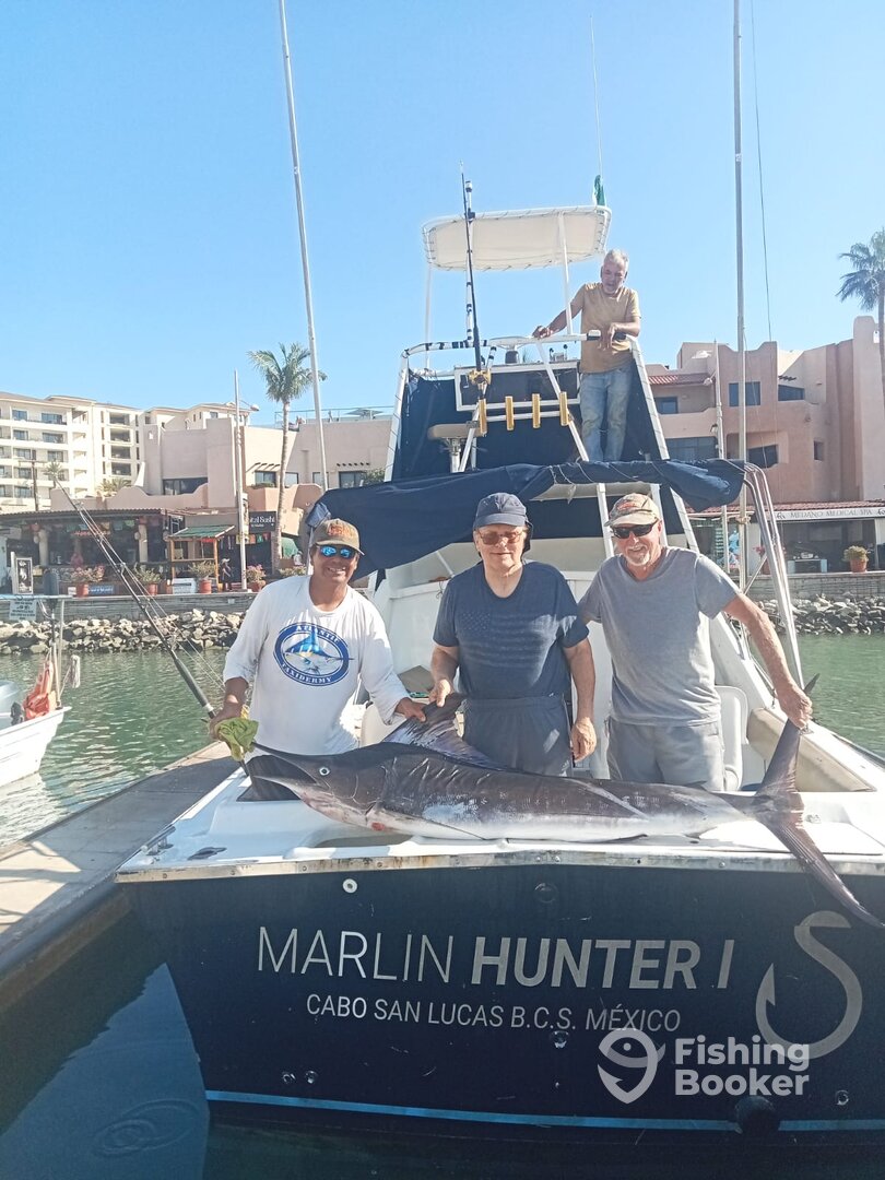 Cabo San Lucas Report Photo 0
