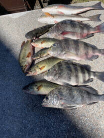 Port St. Joe Report Photo 2