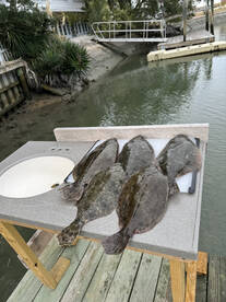 Murrells Inlet Report Photo 2