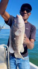 Just 2 photos from yesterday's chew