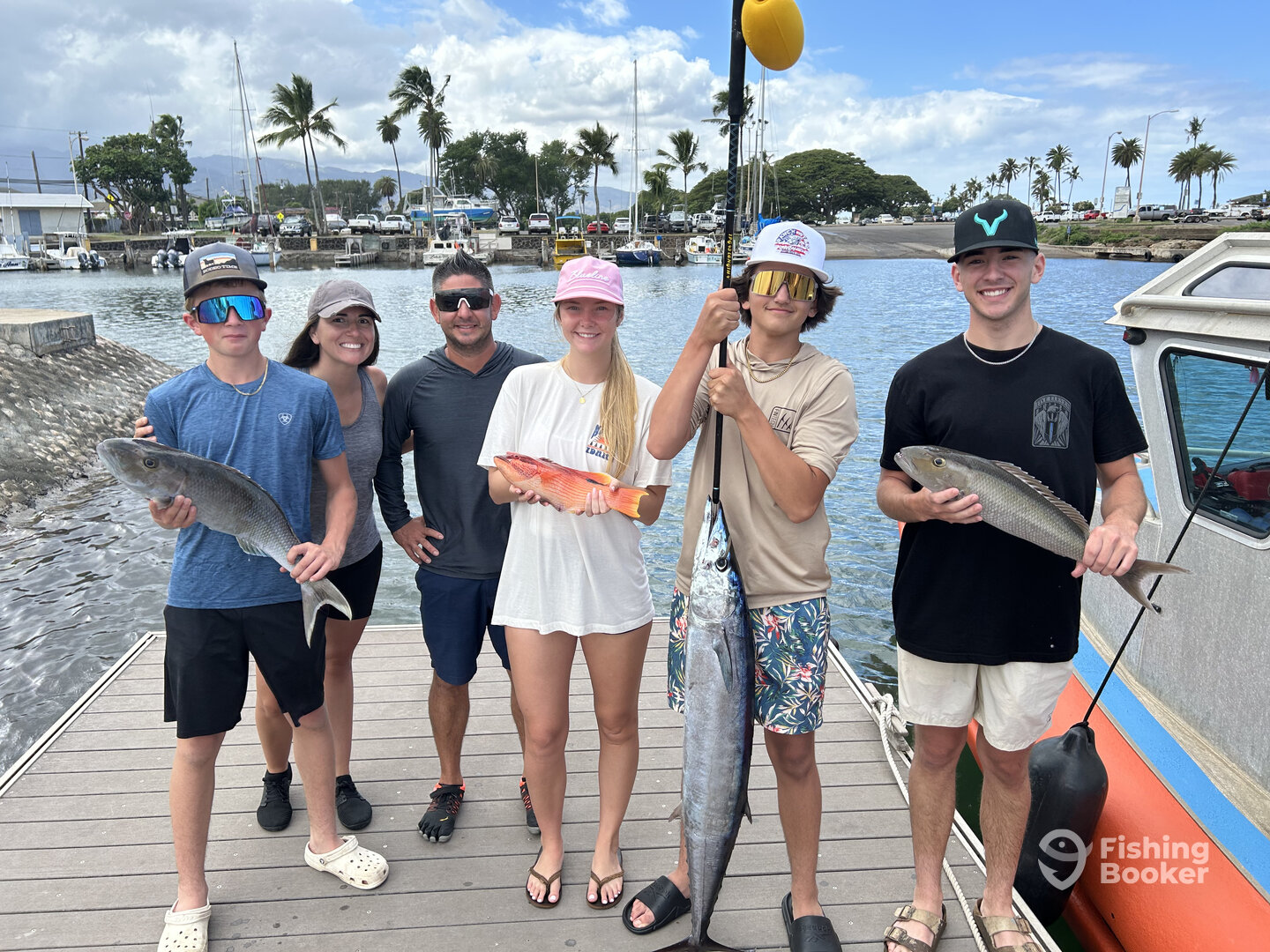 Haleiwa Report Photo 0