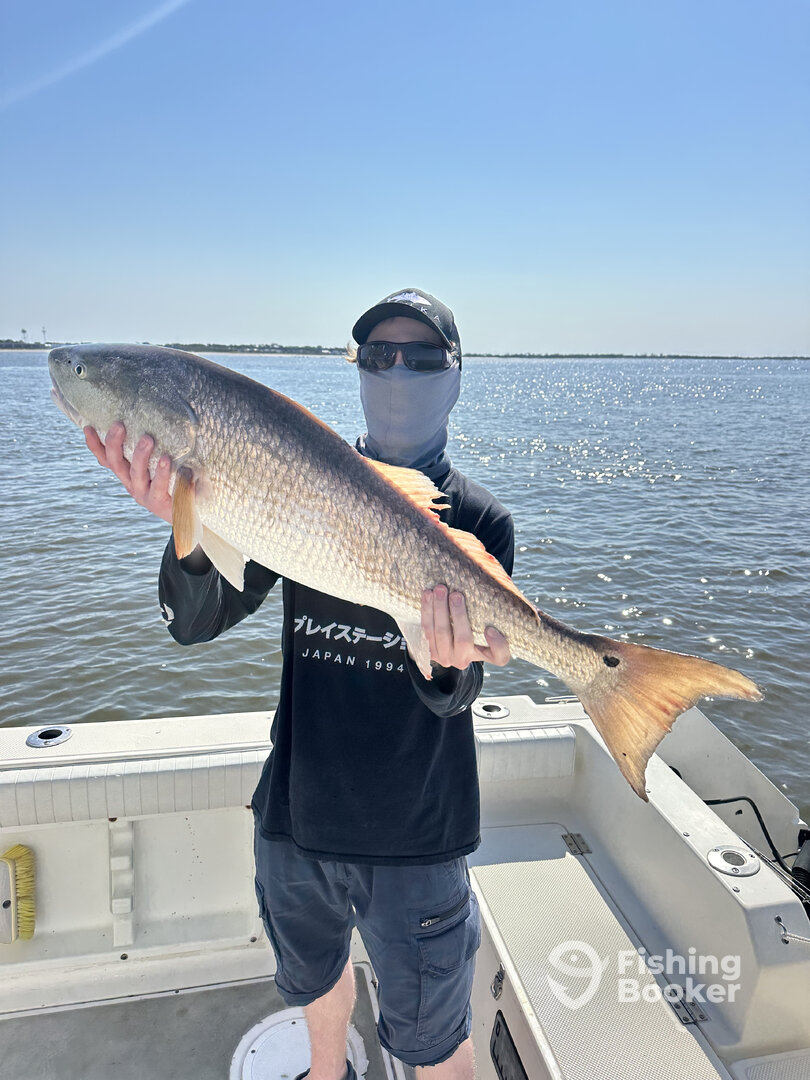 Hilton Head Island Report Photo 0